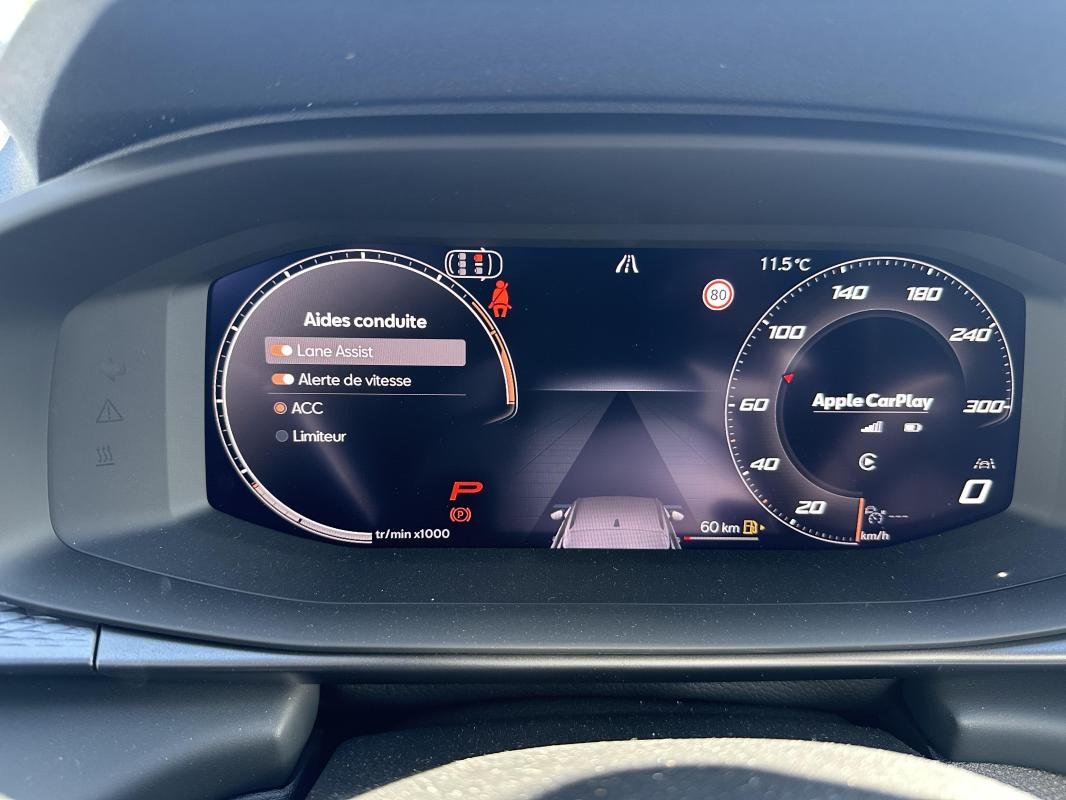 Cupra Terramar - Photo 11