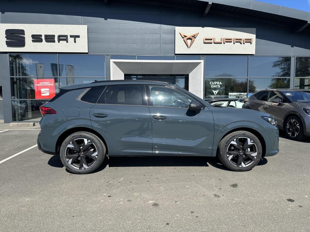 Cupra Terramar - Photo 6