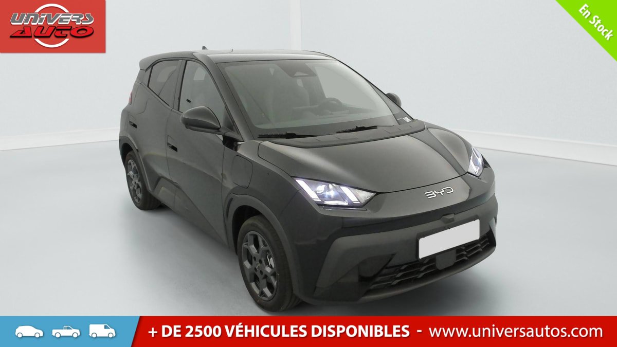 BYD Dolphin - Photo 1