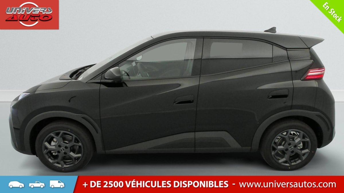 BYD Dolphin - Photo 4
