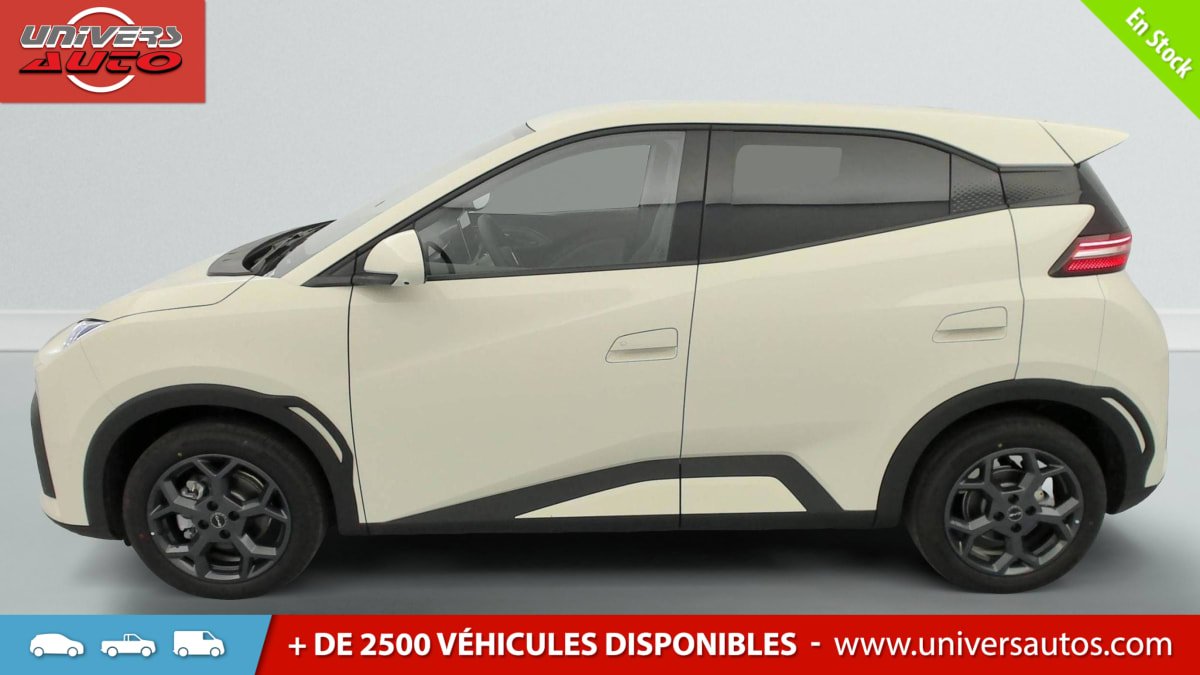 BYD Dolphin - Photo 48