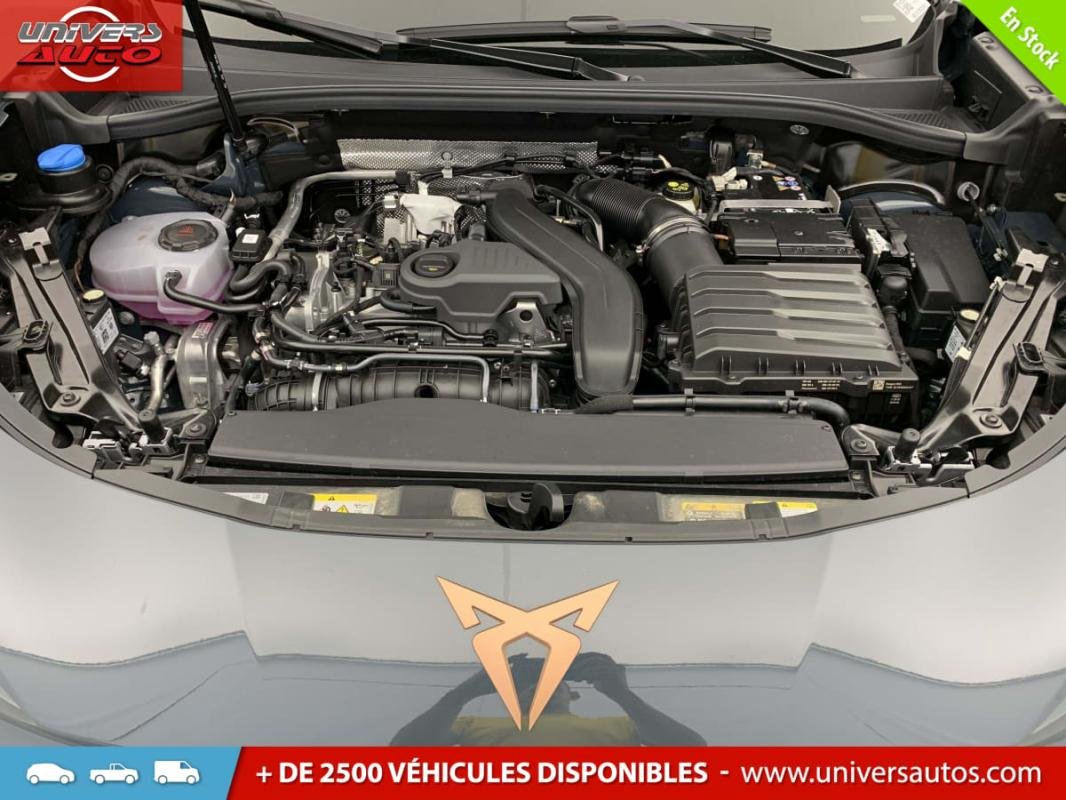 Cupra Terramar - Photo 16