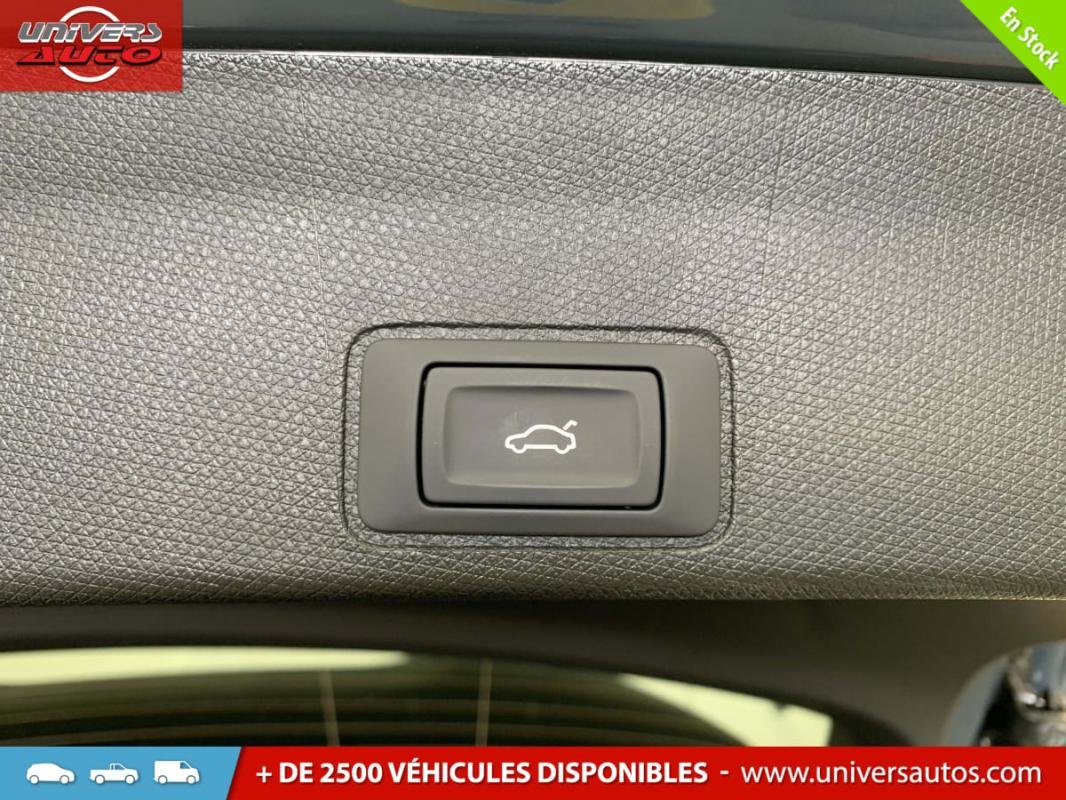 Cupra Terramar - Photo 17