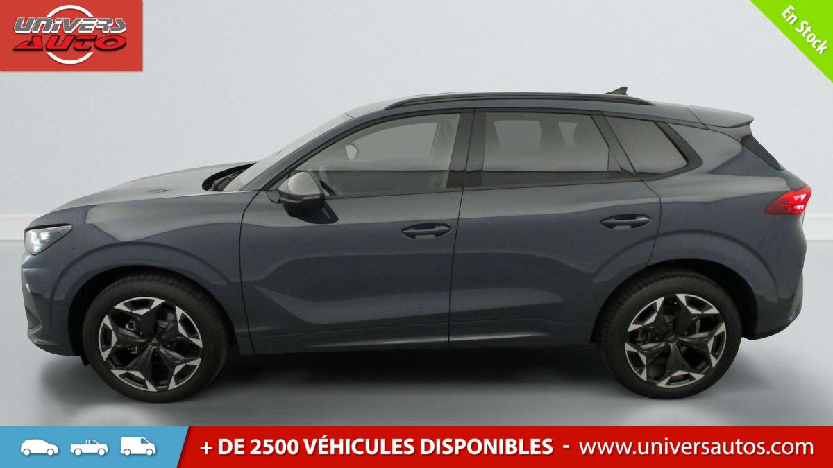 Cupra Terramar - Photo 4