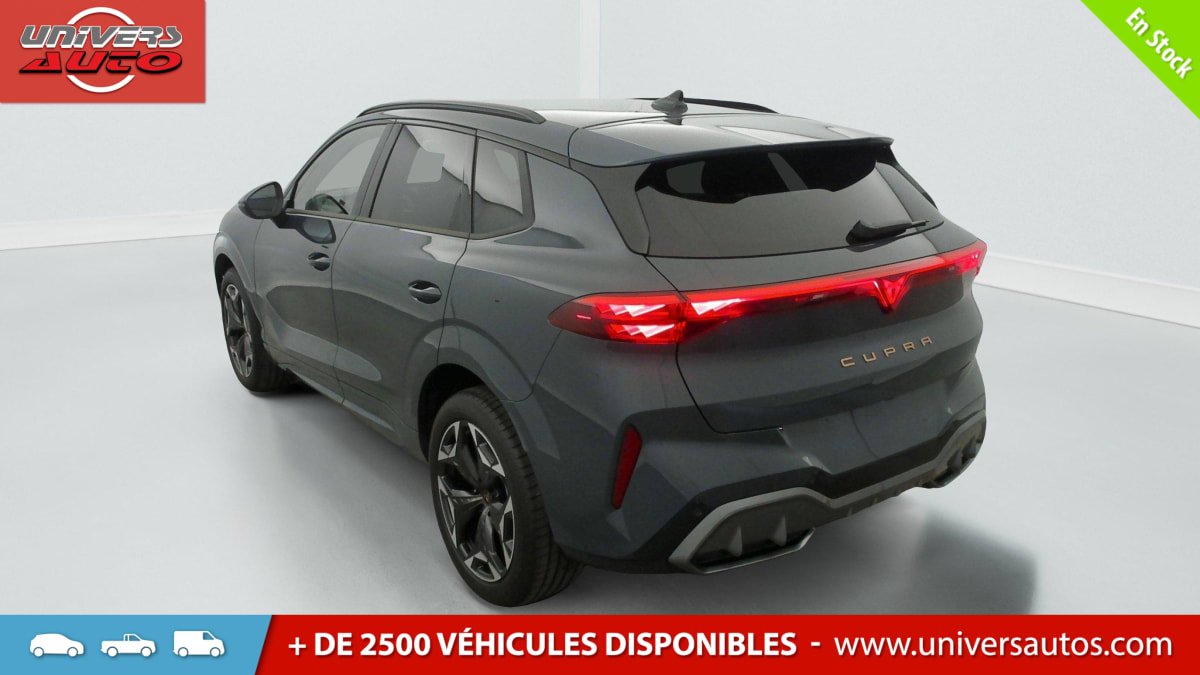 Cupra Terramar - Photo 5